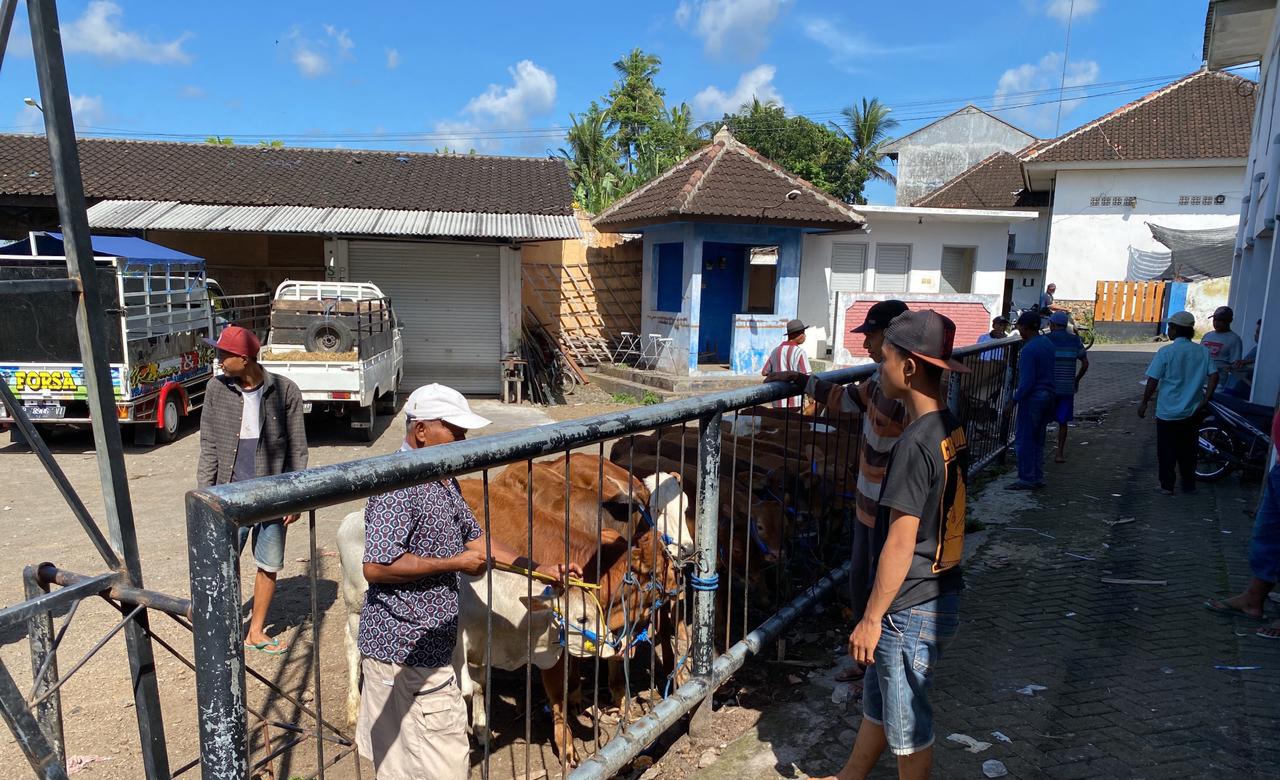 Aktivitas jual beli hewan yang ada di wilayah kerja Disperta Banyuwangi. (Foto. Istimewa)