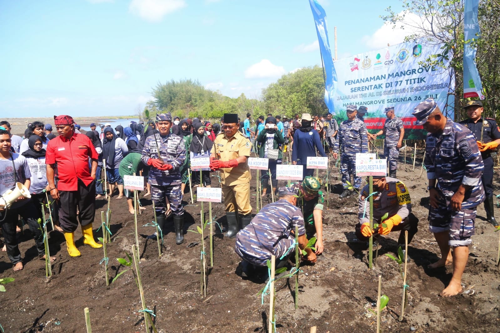 Peringati Hari Mangrove Sedunia, Banyuwangi Tanam 5000 Mangrove . (Foto. Fareh Hariyono)