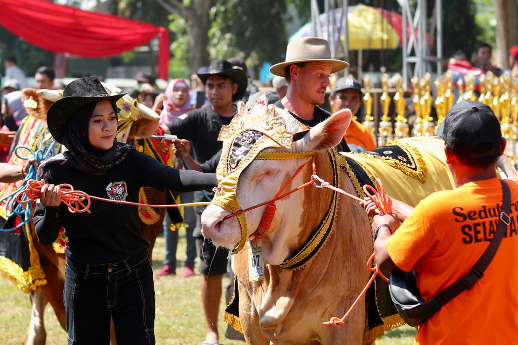 Serunya Parade Hewan Ternak di Banyuwangi Livestock Contest 2023, Sapi 1,136 Ton Jadi Pemenang