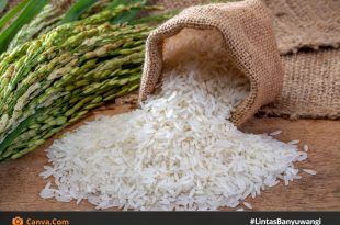 Bulog Banyuwangi Peringatkan: Waspadai Beras Tanpa Merek, Rawan Oplosan!