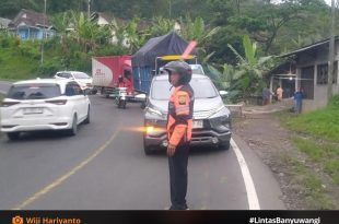 Wiji Hariyanto Sang Merpati Gunung Gumitir, Penjaga Jalur Startegis Penghubung Banyuwangi Jember