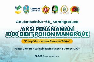 Kolaborasi Karang Taruna dan TNI, Seribu Mangrove untuk Pantai Cemara Banyuwangi
