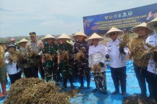 Sinergi TNI dan Pemda Banyuwangi Pacu Swasembada Kedelai Perkenalkan Varietas Unggulan Baru