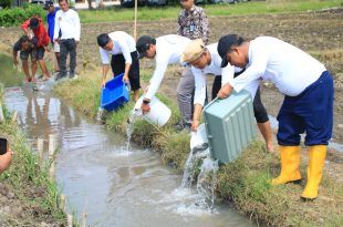 Program Ketahanan Pangan Berlanjut, Komoditas di Lahan SAE Pakis Lapas Banyuwangi Semakin Beragam
