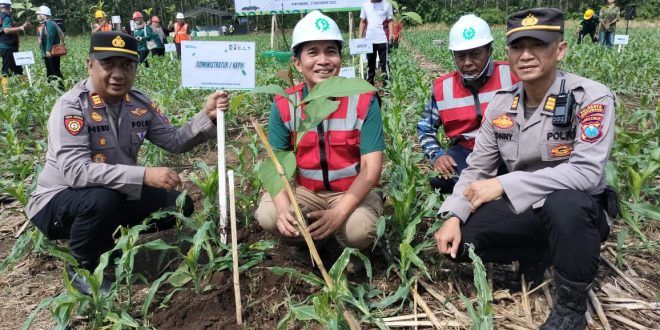 Perum Perhutani Gelar Penanaman Bersama di Petak 76 KPH Banyuwangi Selatan